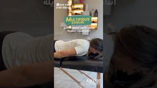 Multifidus exercise  تمرين لتثبيت العمود الفقري اثناء الفترات الطويلة [upl. by Charlton]