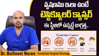 వృషణము ఇలా ఉంటే జాగ్రత్త  Testicular Cancer Symptoms Diagnosis and Treatment  Kaizen Oncology [upl. by Jemy243]