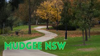 Episode 18  Mudgee NSW  Jayco Motorhome Travels [upl. by Ailido]