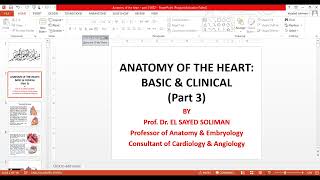 Anatomy of the heart Basic and clinical part 3 [upl. by Larimer]