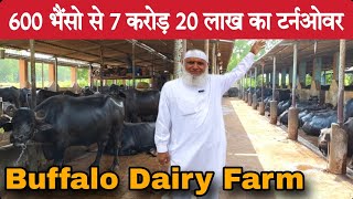 बड़ा भाई 28 साल सऊदी में कामकर 600 भैंसो का Farm बनाया छोटे भाइयों के लिए  Big Buffalo Dairy Farm [upl. by Mcnutt109]