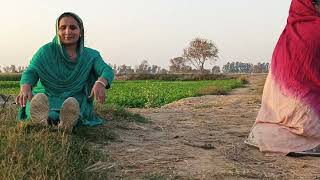 khet m exercises ki ❤villagelife villagefieldharyanvilifestyle [upl. by Eidua]