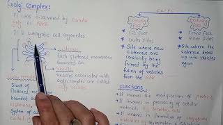 Golgi Complex Structure And Functions  Federal And KPK Board  Class 11 Biology [upl. by Akelam54]