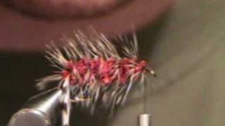 How to tie a woolly worm fly [upl. by Ladiv]