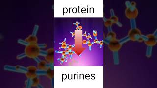 uric acid kya hota hai uric acid problem short health facts science uricacid [upl. by Dannel795]