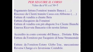 COME TINSEGNO LA CONTABILITA CORSO ON LINE  TeamViewer [upl. by Ailito]