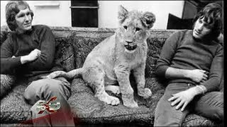 16x9  Wonderful story of Christian the Lion [upl. by Traggat]