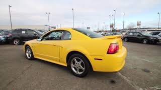 2004 Ford Mustang V6  Screaming Yellow Clearcoat  4F198724  Tacoma  Kent [upl. by Conan]