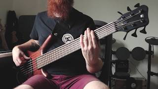 Karnivool  All I Know Bass Cover [upl. by Anauqahs]