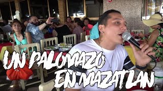 Un Palomazo En Mazatlán  Edwin Luna MiOtroYo [upl. by Nauq]