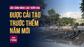 Vì sao hàng loạt vườn hoa ở Thủ đô Hà Nội bỗng nhiên quotlột xácquot  VTC Now [upl. by Yrrok175]