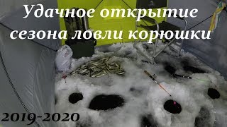 СЕЗОН КОРЮШКИ 20192020 УСПЕШНО ОТКРЫТ  CATCHING SMELT 20192020 [upl. by Yhtimit]