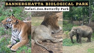 Bannerghatta National Park  Safari Zoo Butterfly Park  Places to Visit in Bangalore [upl. by Toomay842]