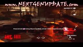 Call of Duty 5 World at War Zombie Glitches  Invincibility in Verrückt [upl. by Resay]