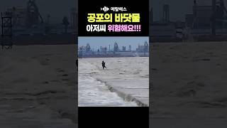 바닷물이 강물처럼 막 밀고 들어오는데 아저씨가 물에 걸어서 들어갔어요 보는 내내 심장 떨림 고온항 서해바다투망중 순간포착 castnet fishing pesca [upl. by Otrevire]