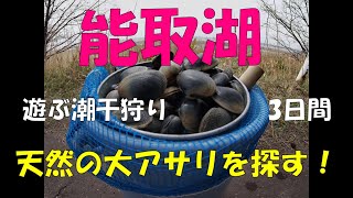 No19【アサリ採り】北海道能取湖・天然の大アサリを探す3日間・ホタテの踊った202152 [upl. by Pilloff77]