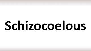 How to Pronounce Schizocoelous correctly [upl. by Ibbetson981]