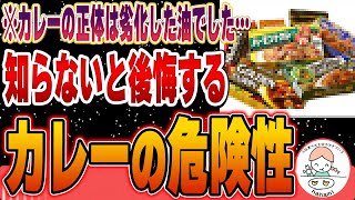 【危険】9割のカレールーに含まれる危険な原材料とスパイスカレーの健康効果とは【無添加カレー】 [upl. by Askari]