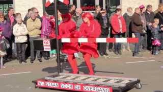 Zevenaar Carnavalsoptocht 2014 [upl. by Frank]