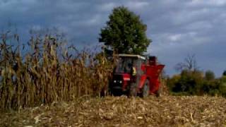 IMT 549 and SIP tornado 35 picking corn [upl. by Nirrek]