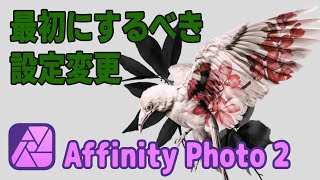 【Affinity Photo 2 for iPad】最初にするべき設定変更 [upl. by Blader418]