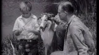 Lassie  Episode 6  quotThe Convictquot Originally broadcast 10171954 [upl. by Ytsirhk]