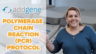 Polymerase Chain Reaction PCR Protocol [upl. by Enilorac626]