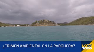 INVESTIGAMOS PORQUÉ SE APAGA EL BRILLO DE LA BAHÍA BIOLUMINISCENTE EN LAJAS [upl. by Ramsa]