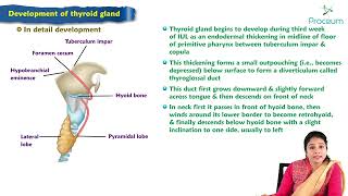 Development of thyroid gland  Embryology Lecture [upl. by Desai]