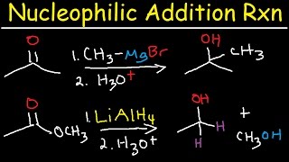 Nucleophilic Addition Reaction Mechanism Grignard Reagent NaBH4 LiAlH4 Imine Enamine Reduction [upl. by Noynek930]