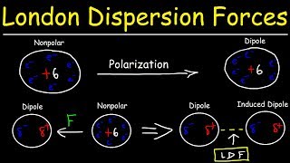 London Dispersion Forces amp Temporary Dipole  Induced Dipole Interactions  Intermolecular Forces [upl. by Willdon]