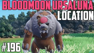 How to Catch Bloodmoon Ursaluna  Pokémon Scarlet amp Violet DLC [upl. by Abe]