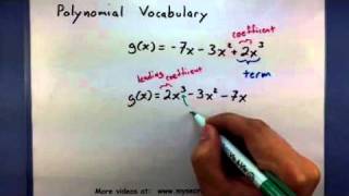 PreCalculus Polynomial Vocabulary [upl. by Dukey]