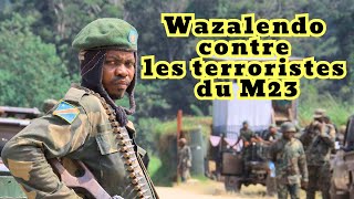 RDC Rutshuru les terroristes du M23 et les wazalendo saffrontent à nouveau près de Bambo [upl. by Ahsert664]