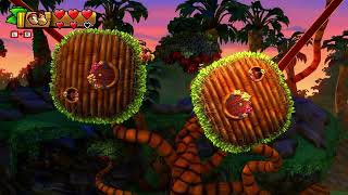 28 Donkey Kong Country Tropical Freeze  World 5  Bonus levels 5A amp 5B [upl. by Nova]