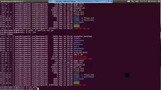 UNIX13 UNIX Commands and Options [upl. by Karisa]