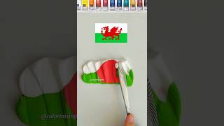 When I Mixing Color 🏴󠁧󠁢󠁷󠁬󠁳󠁿 satisfying colormixing flagmixing colors stateflags asmr shorts [upl. by Annailuj]