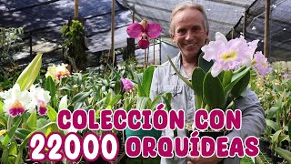 Estás orquídeas son únicas en el mundo COLECCIÓN DE ORQUÍDEAS PREMIADAS │Candy Bu [upl. by Thapa]