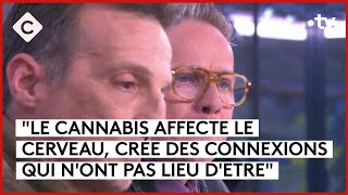 Cannabis une enquête de Mathieu Kassovitz amp Antoine Robin  C à Vous  01042024 [upl. by Barabas]