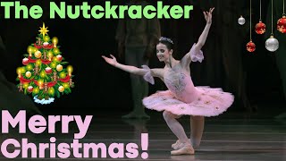 Dance of the Sugar Plum Fairy from The Nutcracker Mariinsky Ballet [upl. by Sorilda335]