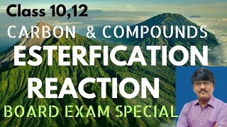 Esterification Reaction Class 10 amp 12 physicsconceptsbyalisir [upl. by Gudrun855]