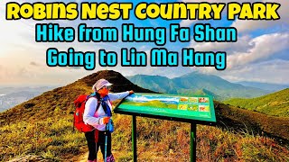 Summit of the Robins Nest Trail hkvtuber shortvideo hongkongs dayhike hkhikers nature [upl. by Leighland]