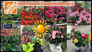 🌸🌺The Home Depot Beautiful AnnualPerennial Flowers  Shop With Me thehomedepot gardencenter [upl. by Kimberlyn]