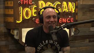 Joe Rogan Experience 1647  Dave Chappelle [upl. by Jotham]