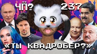 Чё Происходит 237  Миа Бойка vs квадроберы японский шпион в Беларуси Путин встречался с Дуровым [upl. by Ietta]