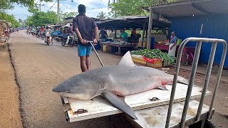 Amazing Cant Belief 100kg Monster GIANT Shark Fish Expert Fish Cutting Skills In Road [upl. by Leis497]