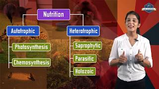 Life Processes 02 Mode of Nutrition CBSE Class X Biology HindiEnglish [upl. by Biddle340]