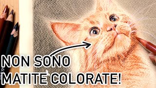 Non userai più le matite colorate Disegnare un gatto un ritratto con Carboncino Sanguigna e Carrè [upl. by Nennek]