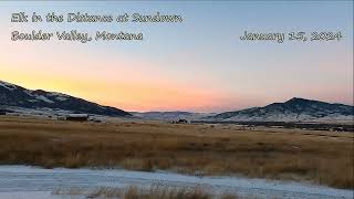 Sundown and Elk  Boulder Valley MT  Jan 15 2024 [upl. by Fisch950]