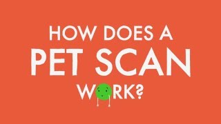 How does a PET scan work [upl. by Vally]